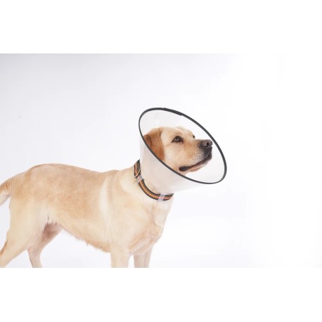 Kołnierz weterynaryjny