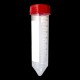 Probówka stożkowodenna PP 50ml (30x115mm) z czerwoną nakrętką typu Falcon, 25szt./op. Ref: 337100