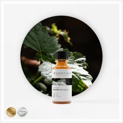 Olejek zapachowy rajska paczula 10ml, 1szt.
