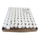 Pojemnik HISTOPOT 60ml z 10% formaliną, 81szt./op. Ref: 7.015.000.060